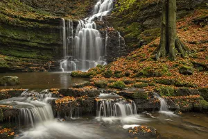 Prints of Scaleber Force waterfall in autumn, Yorkshire Dales National Park, Yorkshire, England, United Kingdom, Europe Images Dated 2018 October: Scaleber Force Waterfall Print