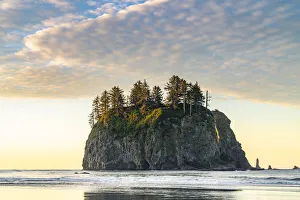 La Push Sea Stack Print