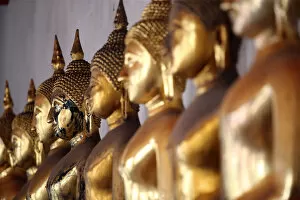 Images Dated 15th November 2015: Seated Golden Buddha statues in a row at Wat Pho (Temple of the Reclining Buddha)