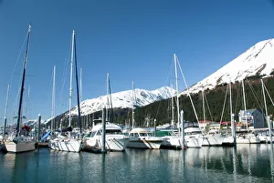 Seward Harbor, Alaska, United States of America, North America Seward Harbor, Alaska, United States of America, North America