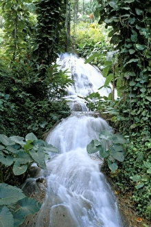 Central America Waterfalls Prints: Shaw waterfalls