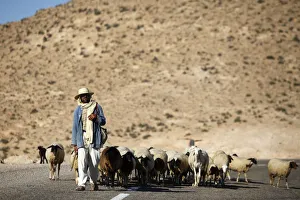 Shepherd driving a herd near Toujane village, Tunisia, North Africa, Africa Shepherd driving a herd near Toujane village, Tunisia, North Africa, Africa
