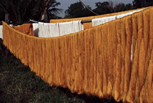 Thailand Travel Images Prints: Silk drying