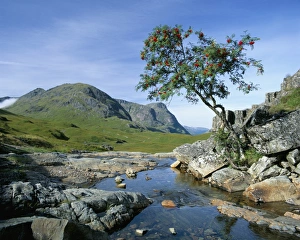 The Three Sisters of Glencoe Print