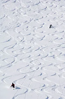 Skiers making early tracks after fresh snow fall at Alta Ski Resort Skiers making early tracks after fresh snow fall at Alta Ski Resort