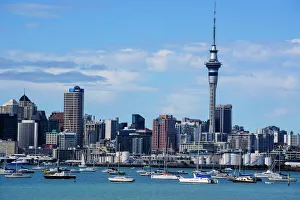 North Island Prints: Auckland, North Island, New Zealand Print: Pacific Skyline