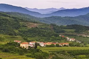 Images Dated 30th April 2014: Slovenia wine region countryside, Goriska Brda (Gorizia Hills), Slovenia, Europe