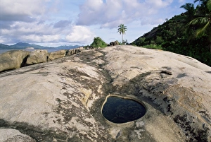 Mahe Island Landscape Prints: Small pool on rock