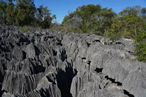 Small Tsingy, Tsingy de Bemaraha National Park, UNESCO World Heritage Site, Melaky Region Small Tsingy, Tsingy de Bemaraha National Park, UNESCO World Heritage Site, Melaky Region