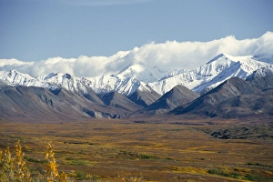 Alaska Range Prints: Snowline on Alaska Range