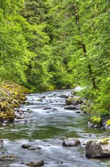 Images Dated 16th June 2016: Sol Doc River, Olympic National Park, UNESCO World Heritage Site, Washington, United