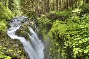 Images Dated 16th June 2016: Sol Duc Falls, Olympic National Park, UNESCO World Heritage Site, Washington, United