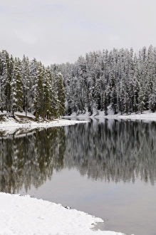 American Wilderness Landscape Prints: SP022320