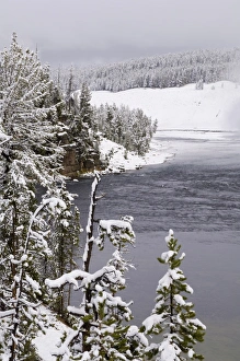 Yellowstone National Park Scenic Views Prints: SP022331