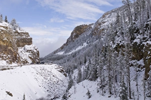 Cold Climate Landscapes Prints: SP022417