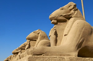 Egyptian Sphinx Path Print