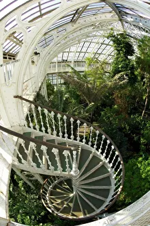 Spiral staircase in the Temperate House, Royal Botanic Gardens, Kew Spiral staircase in the Temperate House, Royal Botanic Gardens, Kew