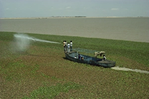 Spraying to eradicate water hyacinth at dam, Jebel Aulia, Sudan, Africa Spraying to eradicate water hyacinth at dam, Jebel Aulia, Sudan, Africa