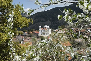 Spring view, Pedoulas, High Troodos Mountains, Cyprus, Europe Spring view, Pedoulas, High Troodos Mountains, Cyprus, Europe