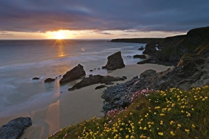 Spring wildflowers on the clifftops overlooking Bedruthan Steps, North Cornwall Spring wildflowers on the clifftops overlooking Bedruthan Steps, North Cornwall
