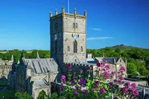 Wales Prints: St Davids Cathedral Print, Pembrokeshire Wales