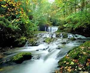 Ambleside Collection: Stock Ghyll Beck, Ambleside, Lake District, Cumbria, England