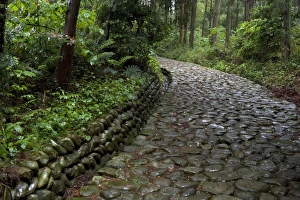 Stone paving called ishidatami on old Tokaido Road in Shizuoka that once stretched from Tokyo to Kyoto Stone paving called ishidatami on old Tokaido Road in Shizuoka that once stretched from Tokyo to Kyoto