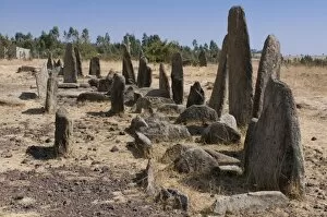 Tiya Collection: Stone pillars of Tiya, UNESCO World Heritage Site, Ethiopia, Africa