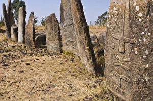 Stone pillars of Tiya, UNESCO World Heritage Site, Ethiopia, Africa Stone pillars of Tiya, UNESCO World Heritage Site, Ethiopia, Africa