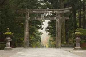 Japanese Shrines And Temples Prints: Stone Torii