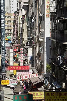 Street signs, Mid Levels, Hong Kong Island, Hong Kong, China, Asia Street signs, Mid Levels, Hong Kong Island, Hong Kong, China, Asia