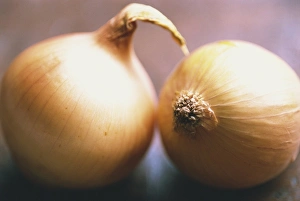 Studio Shot Of Onions Prints: Studio shot of two onions