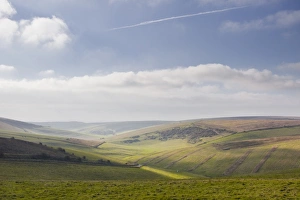 Stump Bottom and the rolling hills of the South Downs National Park near to Brighton, Sussex, England, United Kingdom Stump Bottom and the rolling hills of the South Downs National Park near to Brighton, Sussex, England, United Kingdom