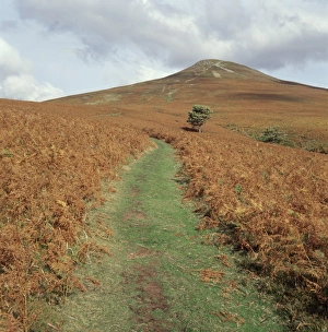 Autumn In The UK Prints: The Sugar Loaf
