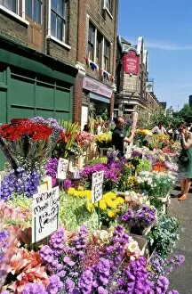 Fund Collection: Sunday flower market, Columbia Road, London, England, United Kingdom, Europe