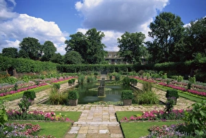 Prints of Sunken garden, Kensington Gardens, London, England, United Kingdom, Europe Kensington Gardens Prints: Sunken Garden Print, Kensington Gardens, London