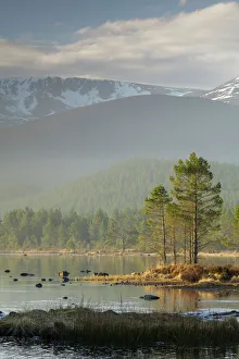 Sunrise over the Cairngorm Mountains and Loch Morlich, Scotland, United Kingdom, Europe Sunrise over the Cairngorm Mountains and Loch Morlich, Scotland, United Kingdom, Europe
