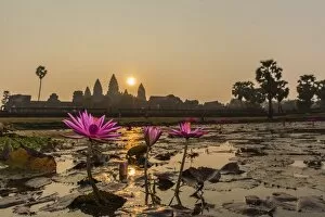 Images Dated 25th January 2015: Sunrise over the west entrance to Angkor Wat, Angkor, UNESCO World Heritage Site, Siem Reap