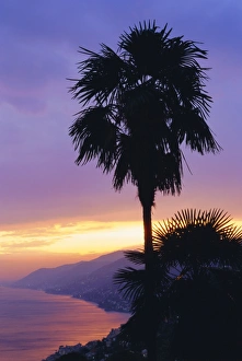 Liguria Italy Landscape Photography Prints: Sunset, Camogli