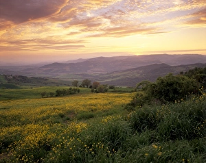 Sunset In Europe Prints: Sunset over Val d Orcia