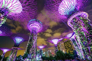 Images Dated 21st February 2016: Supertree Grove in the Gardens by the Bay, a futuristic botanical gardens and park