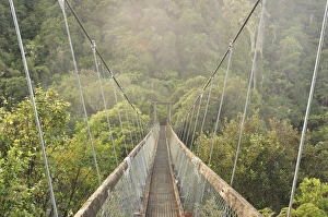Swingbridge, Motu Falls, Motu, Gisborne, North Island, New Zealand, Pacific Swingbridge, Motu Falls, Motu, Gisborne, North Island, New Zealand, Pacific