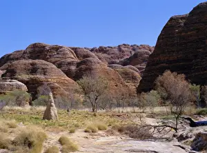 Australian Outback Scenery Prints: Termite mound, grasses and trees with typical rounded rocks in the background