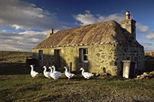 Outer Hebrides Travel Destination Prints: Thatched house