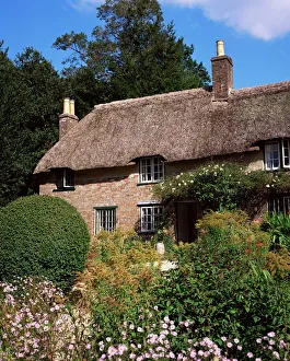 Thomas Hardy's Cottage Print, Bockhampton