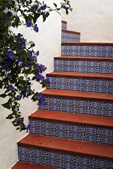 Traditional Portuguese Architecture Prints: Tiled staircase