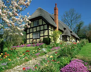 Timber framed thatched cottage and garden with spring flowers at Eastnor in Hereford Timber framed thatched cottage and garden with spring flowers at Eastnor in Hereford
