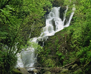 Torc Waterfall Ireland Prints: Torc Waterfall at Killarney