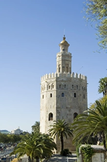 Ornamental Prints: Torre del Oro Print - Seville, Spain