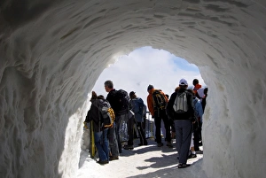 Chamonix Mont Blanc Prints: Tourist on viewing platform